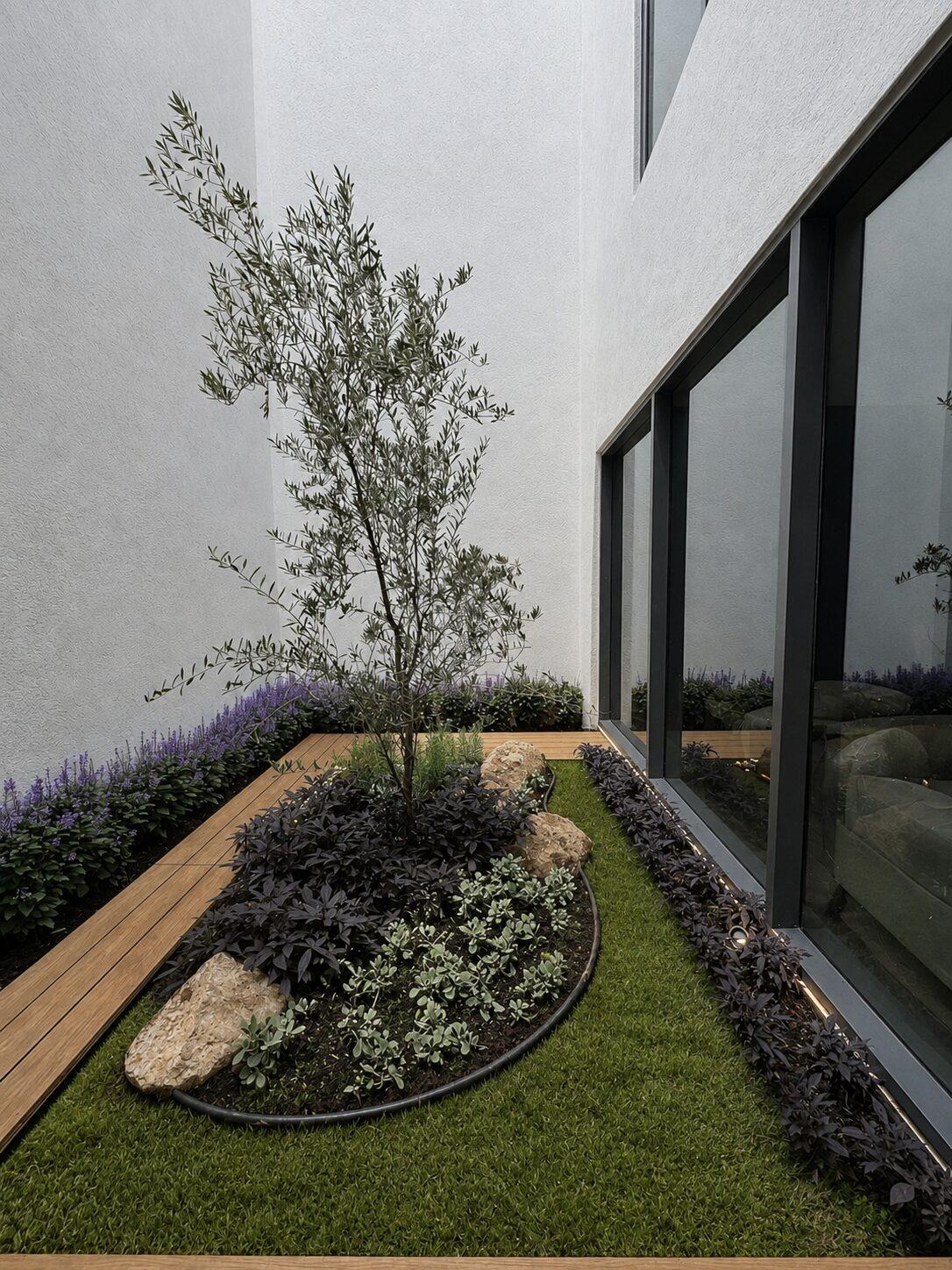 Interior garden with olive tree and floor-to-ceiling windows · Casa Britania, Morelia